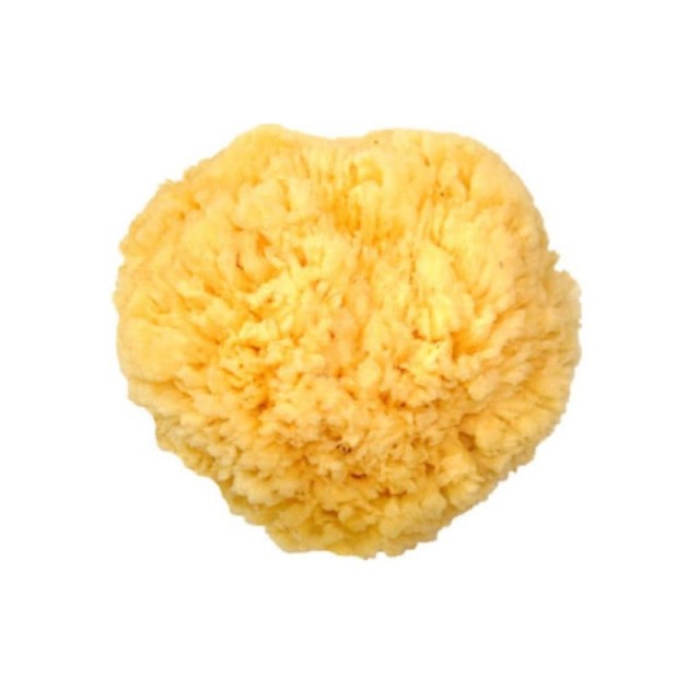 BEAUTY SPRING - Natural Sponge Medium | 1τμχ